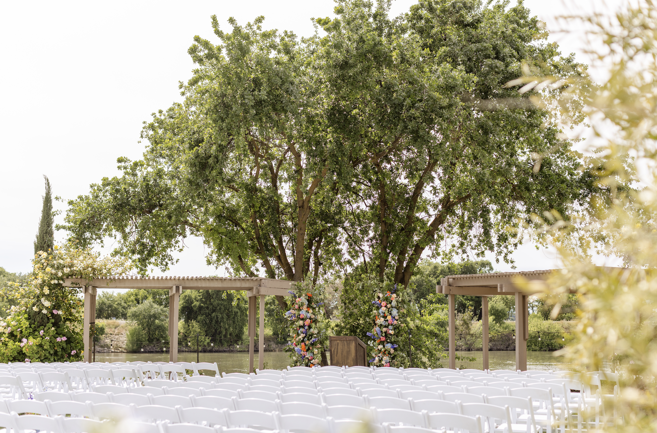 Outdoor wedding setup with rows of white chairs facing a decorated arbor under a large tree, near a body of water.